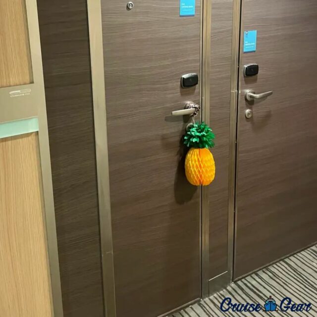 cruise ship doors pineapples
